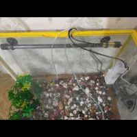 فروش اکواریوم|ماهی|اهواز, معین زاده|دیوار