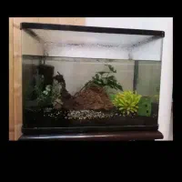 آکواریوم شرکتی