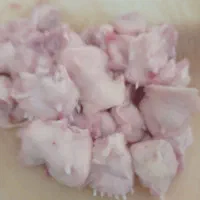 بچه فیله
