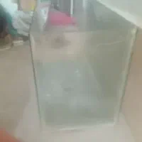 آکواریوم 300 تومن