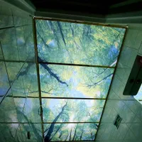 سقف کاذب .آسمان مجازی و نقاشی ساختمان|خدمات پیشه و مهارت|اسلامشهر, شهرک سالور|دیوار