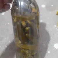 خیار شور بطری نوشابه