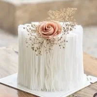 کیک خانگی|خدمات پذیرایی، مراسم|قم, نیروگاه|دیوار