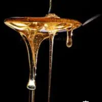 مدرک دیپلم تا دکترا قانونی بااستعلام