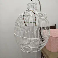 قفس