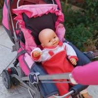 کالسکه|کالسکه و لوازم جانبی|تبریز, |دیوار