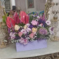 گل طبیعی|گل و گیاه طبیعی|کرمانشاه, |دیوار