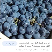 انگور شانی سردشت|خوردنی و آشامیدنی|کرج, شهرک نهال و بذر|دیوار