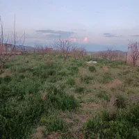 فروش باغ در باغات پسته بیگ به متراژ ۱۰۰۰ متر