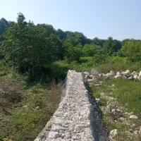 قواره-دو-جنگل-ورودخانه