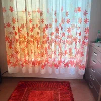 فرش و میز تلویزیون|فرش|نشتارود, |دیوار