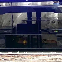 میز تلویزیون