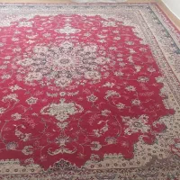 فرش ۱۲ متری|فرش|پاکدشت, پاکدشت (مامازند)|دیوار