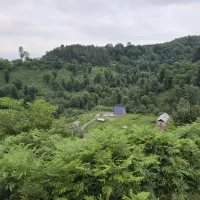 کلبه سوئدی سه خواب جنگلی واقعی در دل طبیعت