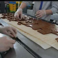 کارگرساده آقا کارخانه لواشک‌ آلوچه باجای خواب‌‌غذا