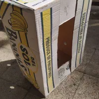 کارتن موز
