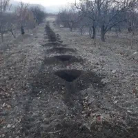 خدمات کشاورزی با تراکتور باغی|خدمات باغبانی و درختکاری|ارومیه, |دیوار