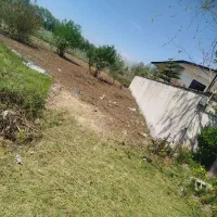 چمنزن وعلف زن و لی زنی..