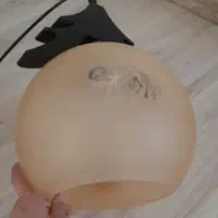 یک جفت لوستر تک شاخه نباتی