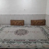 قالی|فرش|شوشتر, |دیوار