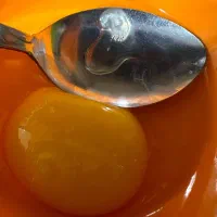 تخم مرغ نطفه دار گلین|حیوانات مزرعه|خورموج, |دیوار