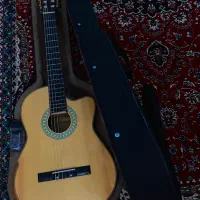 گیتار حرفه ایی مخصوص اجرای زنده|گیتار، بیس، امپلیفایر|گنبد کاووس, |دیوار