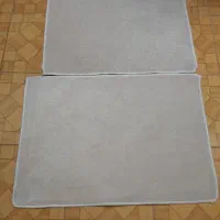 پادری یا زیرپایی