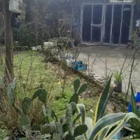 راهنمایی کافه شریکی