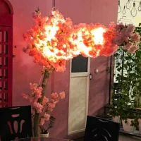 درختچه شکوفه صورتی