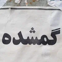 مدارک گمشده به اسم خلیل نیازپور