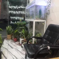کارشناس املاک منطقه ۱۷