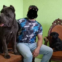 کنکورسو از مولد قوی توله مشکی