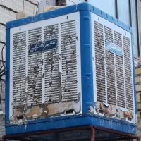 فروش کولر