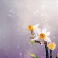 ریاضی