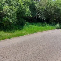 زمین و باغ ۲۱۱۵متری در طالقان،بر۳۰ متر خیابان اصلی