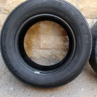 لاستیک نکسن 2019