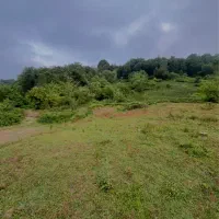 زمین-ویودار-تمام-مسکونی