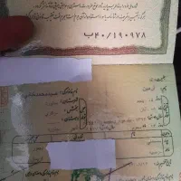 شناسنامه پیدا شده
