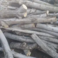 چوب گردو|عمده‌فروشی|نیشابور, فضل|دیوار