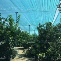 شید گلخانه ای و توری گلخانه و توری سایبان|عمده‌فروشی|ری, ظهیرآباد|دیوار