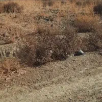 یک قطعه زمین با آینده درخشان