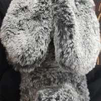 قاب گوشی