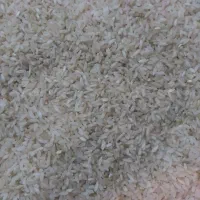 برنج چمپا