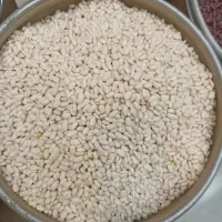 برنج و حبوبات قیمت مناسب|خوردنی و آشامیدنی|کاشان, کشاورز|دیوار