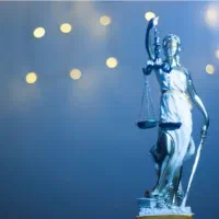 استفاده از خدمات وکیل و داور حرفه ای
