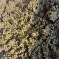 سبزی خورشتی|خوردنی و آشامیدنی|تهران, گیشا|دیوار