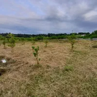 زمین-تفکیک-شده-متری-4ونیم-ساحلی-و-جنگلی