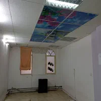 70مترصادقیهصددرصداداری|اجارهٔ دفتر کار، اتاق اداری، مطب|تهران, صادقیه|دیوار