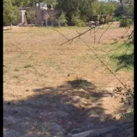 زمین ۱۴۸ متری گرمدره