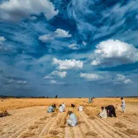 حدود یک کیسه ارد از قبل